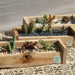 IMG-20260517-WA0079